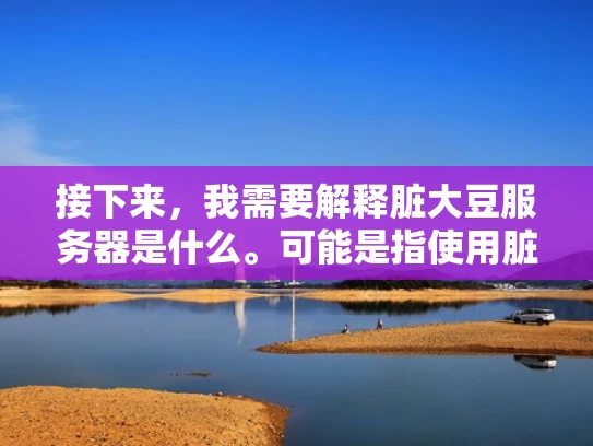 接下来，我需要解释脏大豆服务器是什么。可能是指使用脏大豆运行的容器服务器，或者是指脏大豆本身提供的服务。我需要明确这一点，可能需要澄清用户的问题到底是指哪方面