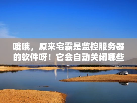 哦哦，原来宅霸是监控服务器的软件呀！它会自动关闭哪些服务器呢？