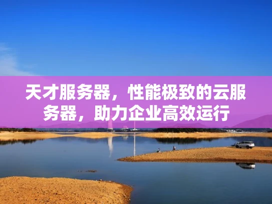 天才服务器，性能极致的云服务器，助力企业高效运行