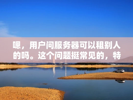 嗯，用户问服务器可以租别人的吗。这个问题挺常见的，特别是对于刚开始创业或者资源有限的小企业来说。他们可能对服务器不太熟悉，担心成本太高或者维护问题，所以想知道是否有租用别人服务器的可能