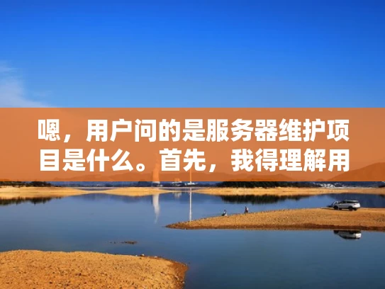 嗯，用户问的是服务器维护项目是什么。首先，我得理解用户的需求。可能用户是刚接触服务器维护的，或者是想了解这个领域的工作内容和职责。他们可能想进入这个行业，或者想了解这个行业的价值