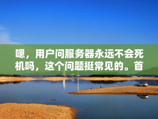嗯，用户问服务器永远不会死机吗，这个问题挺常见的。首先，我得理解用户可能是个刚开始接触服务器的人，或者对服务器维护不太熟悉。他们可能担心服务器会一直运行，不需要维护，这样成本会不会很高