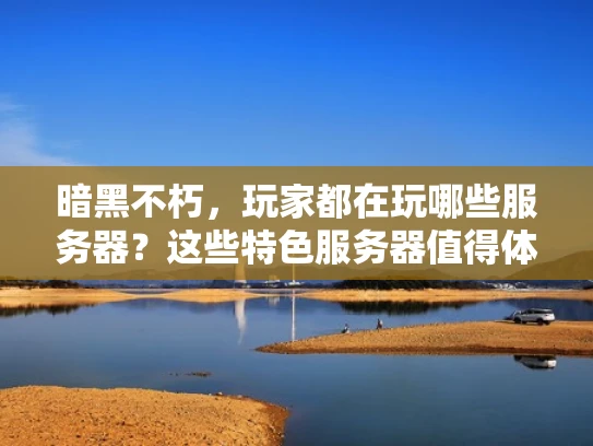 暗黑不朽，玩家都在玩哪些服务器？这些特色服务器值得体验！