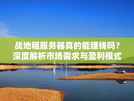战地租服务器真的能赚钱吗？深度解析市场需求与盈利模式