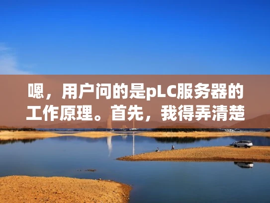 嗯，用户问的是pLC服务器的工作原理。首先，我得弄清楚pLC是什么，可能是指Process Loop Control服务器，对吧？因为pLC在工业自动化里挺常见的，比如在PLC中用来控制过程循环