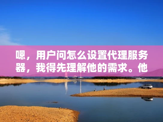 嗯，用户问怎么设置代理服务器，我得先理解他的需求。他可能是个刚开始接触网络配置的新手，或者是需要处理网络流量管理的网络管理员。不管怎样，他需要一个清晰、易懂的指南