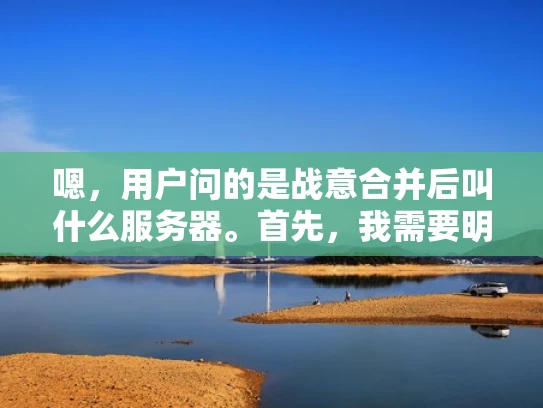 嗯，用户问的是战意合并后叫什么服务器。首先，我需要明确战意指的是什么。战意可能是指战意这款游戏，也可能是指其他地方的网络术语。考虑到用户可能是在游戏服务器方面的问题，我假设是战意这款游戏