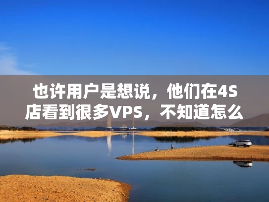 也许用户是想说，他们在4S店看到很多VPS，不知道怎么用。VPS在IT领域是指一种服务器配置，可能用户是想了解如何管理或使用这些VPS。或者，用户可能混淆了术语，把虚拟机或者服务器当成了VPS