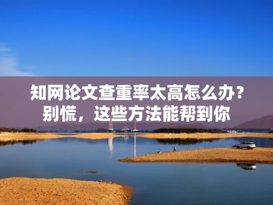 知网论文查重率太高怎么办？别慌，这些方法能帮到你