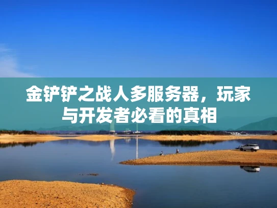 金铲铲之战人多服务器，玩家与开发者必看的真相