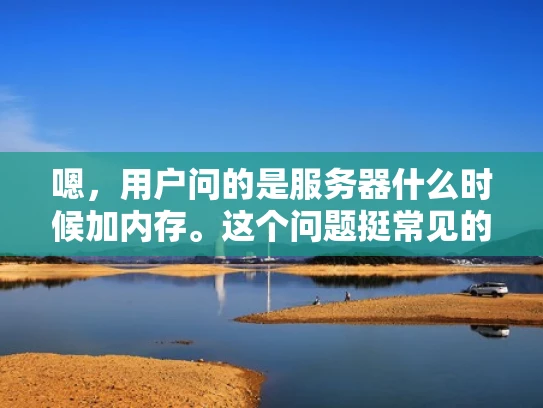 嗯，用户问的是服务器什么时候加内存。这个问题挺常见的，尤其是对于刚开始接触服务器管理的人来说。首先，我得理解用户的需求，他们可能是在管理一个服务器，遇到了内存不足的问题，想要知道什么时候需要升级内存