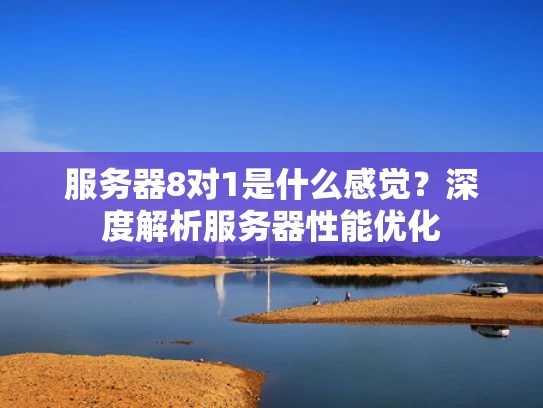 服务器8对1是什么感觉？深度解析服务器性能优化