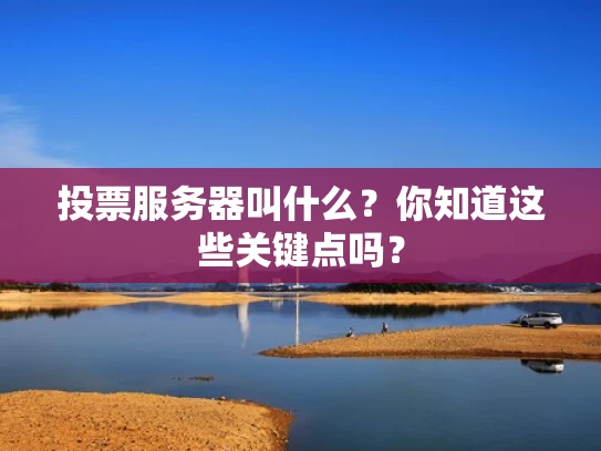 投票服务器叫什么？你知道这些关键点吗？