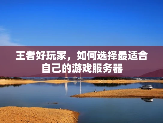 王者好玩家，如何选择最适合自己的游戏服务器