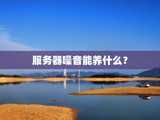 服务器噪音能养什么？