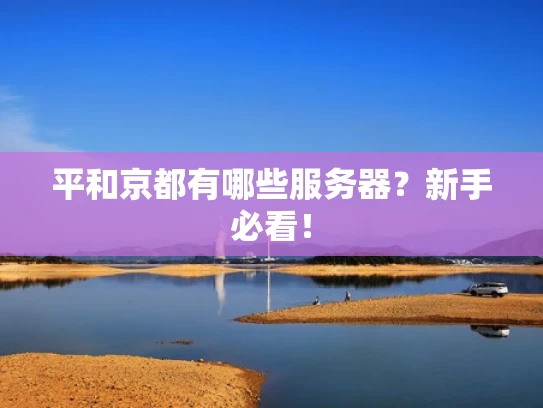平和京都有哪些服务器？新手必看！
