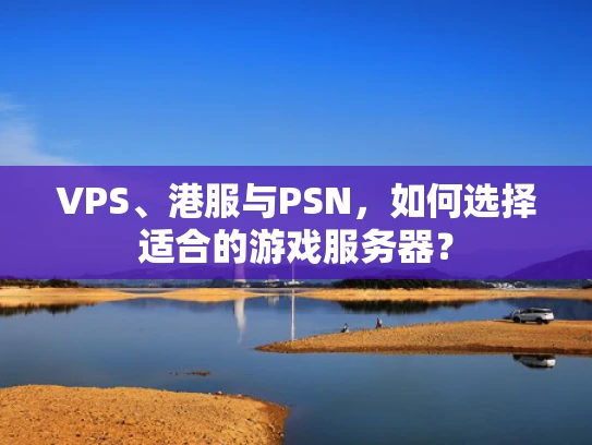 VPS、港服与PSN，如何选择适合的游戏服务器？