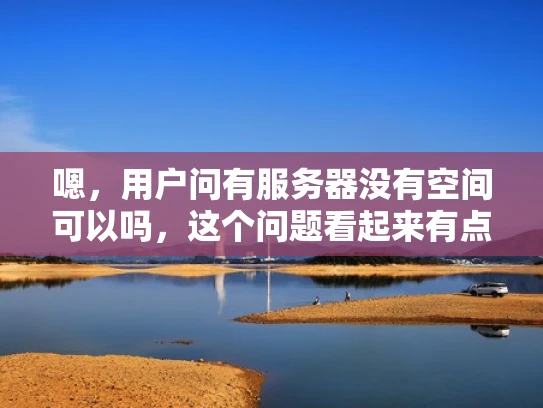嗯，用户问有服务器没有空间可以吗，这个问题看起来有点奇怪。首先，我需要理解用户的具体需求。可能用户有服务器，但没有足够的存储空间，或者想升级存储空间。我需要先确认用户的问题到底是什么