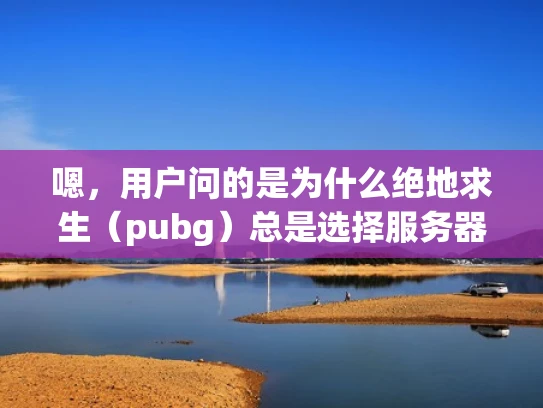 嗯，用户问的是为什么绝地求生（pubg）总是选择服务器。首先，我需要理解用户的问题。看起来用户可能是一个游戏爱好者，或者是对游戏技术有一定了解的人，想了解游戏选择服务器的原因
