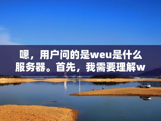 嗯，用户问的是weu是什么服务器。首先，我需要理解weu这个词可能指的是某个特定的服务器品牌或者服务。可能用户对这个缩写不太熟悉，所以需要先解释清楚