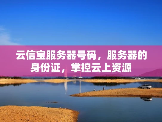 云信宝服务器号码，服务器的身份证，掌控云上资源