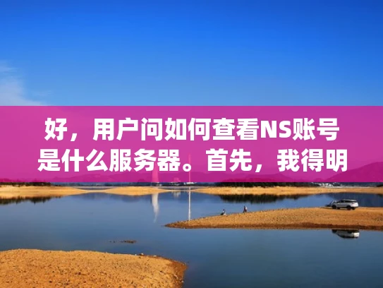 好，用户问如何查看NS账号是什么服务器。首先，我得明确NS账号是什么，可能是指Nginx服务账号。用户可能不太熟悉Nginx配置，所以需要一步步来