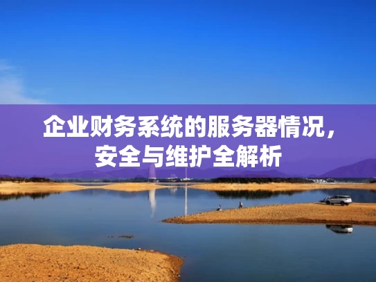 企业财务系统的服务器情况，安全与维护全解析