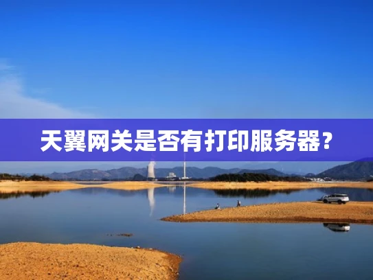 天翼网关是否有打印服务器？