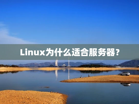 Linux为什么适合服务器？