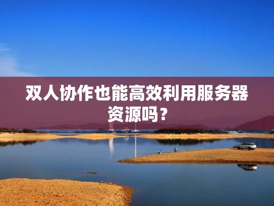 双人协作也能高效利用服务器资源吗？
