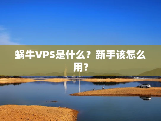 蜗牛VPS是什么？新手该怎么用？