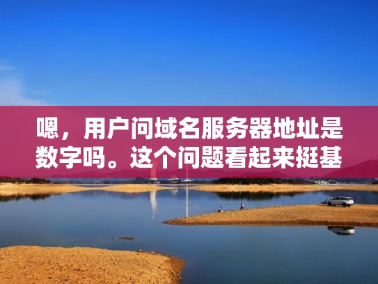 嗯，用户问域名服务器地址是数字吗。这个问题看起来挺基础的，但作为专业网络安全人员，我得仔细分析一下，不能马虎回答
