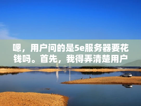 嗯，用户问的是5e服务器要花钱吗。首先，我得弄清楚用户到底是什么情况。可能他是个刚开始接触云计算的人，或者是在考虑升级服务器资源的人。不管怎样，5e服务器作为一个中端配置，价格应该在中等水平
