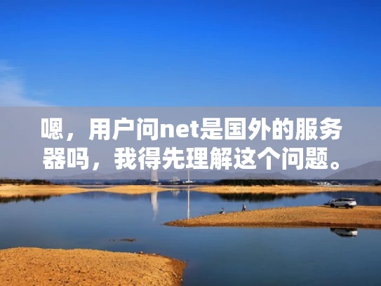 嗯，用户问net是国外的服务器吗，我得先理解这个问题。用户可能对网络中的net这个词不太清楚，或者想确认net是否指的是国外服务器