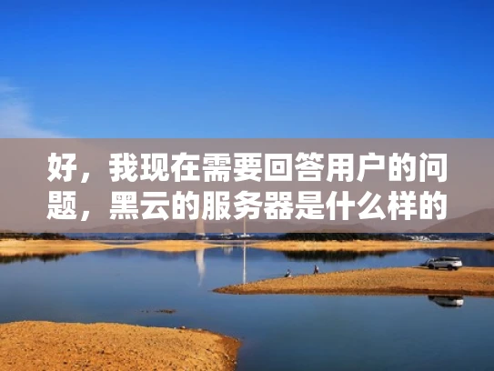 好，我现在需要回答用户的问题，黑云的服务器是什么样的。首先，我得理解用户的问题是什么意思。他们可能想知道黑云这个服务提供商的服务器有什么特点，或者他们可能对黑云这个词有误解，想了解服务器的类型
