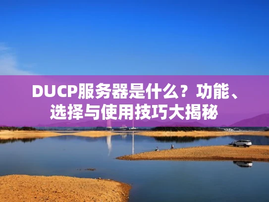 DUCP服务器是什么？功能、选择与使用技巧大揭秘