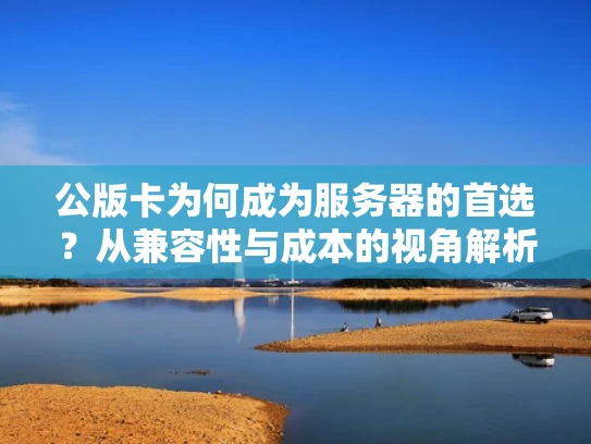 公版卡为何成为服务器的首选？从兼容性与成本的视角解析
