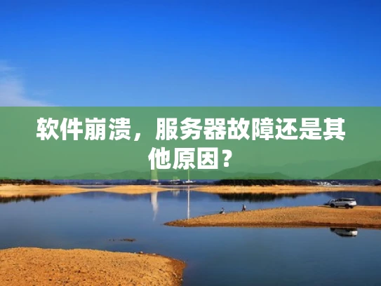 软件崩溃，服务器故障还是其他原因？