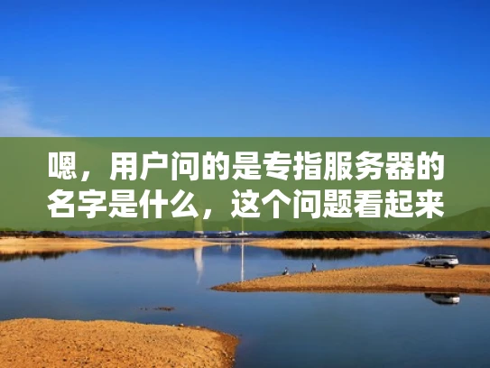 嗯，用户问的是专指服务器的名字是什么，这个问题看起来有点奇怪。首先，我需要理解用户到底想问什么。可能用户对专指这个词不太清楚，或者想了解服务器名字的命名规则