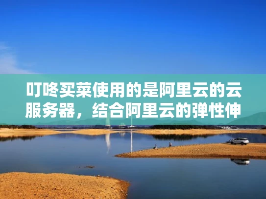 叮咚买菜使用的是阿里云的云服务器，结合阿里云的弹性伸缩、数据库优化和安全措施，确保其平台的高效、稳定和安全。以下是详细解释