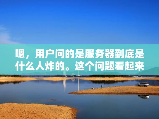 嗯，用户问的是服务器到底是什么人炸的。这个问题看起来有点奇怪，但可能用户是想了解服务器被攻击的原因。我得先分析一下，用户可能是个非技术人员，或者对网络安全不太熟悉，所以需要用简单易懂的语言来解释