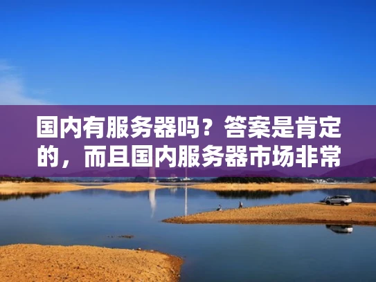 国内有服务器吗？答案是肯定的，而且国内服务器市场非常成熟！