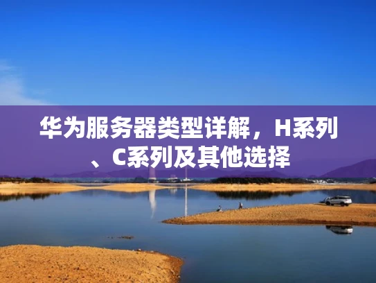 华为服务器类型详解，H系列、C系列及其他选择