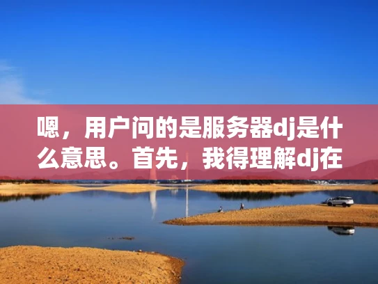 嗯，用户问的是服务器dj是什么意思。首先，我得理解dj在这里是什么意思。通常，dj在中文里可能是指DJ也就是 Disc Jockey，也就是dj是音乐播放员的意思。但是放到服务器上，可能有不同的解释
