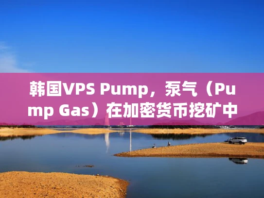 韩国VPS Pump，泵气（Pump Gas）在加密货币挖矿中的应用