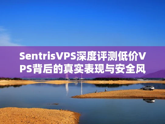 SentrisVPS深度评测低价VPS背后的真实表现与安全风险