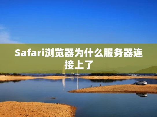 Safari浏览器为什么服务器连接上了