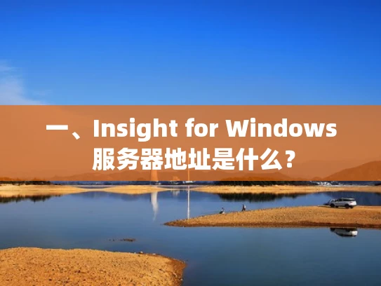 一、Insight for Windows 服务器地址是什么？