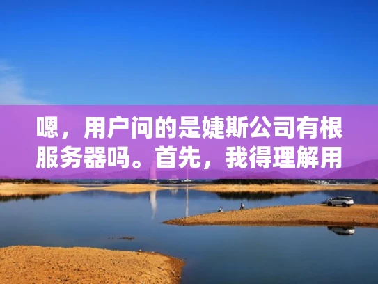 嗯，用户问的是婕斯公司有根服务器吗。首先，我得理解用户的问题。他可能是在问公司的服务器架构，特别是根服务器的存在与否。根服务器通常用于企业级系统，负责管理其他服务器，提高系统的可靠性和可用性