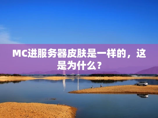 MC进服务器皮肤是一样的，这是为什么？